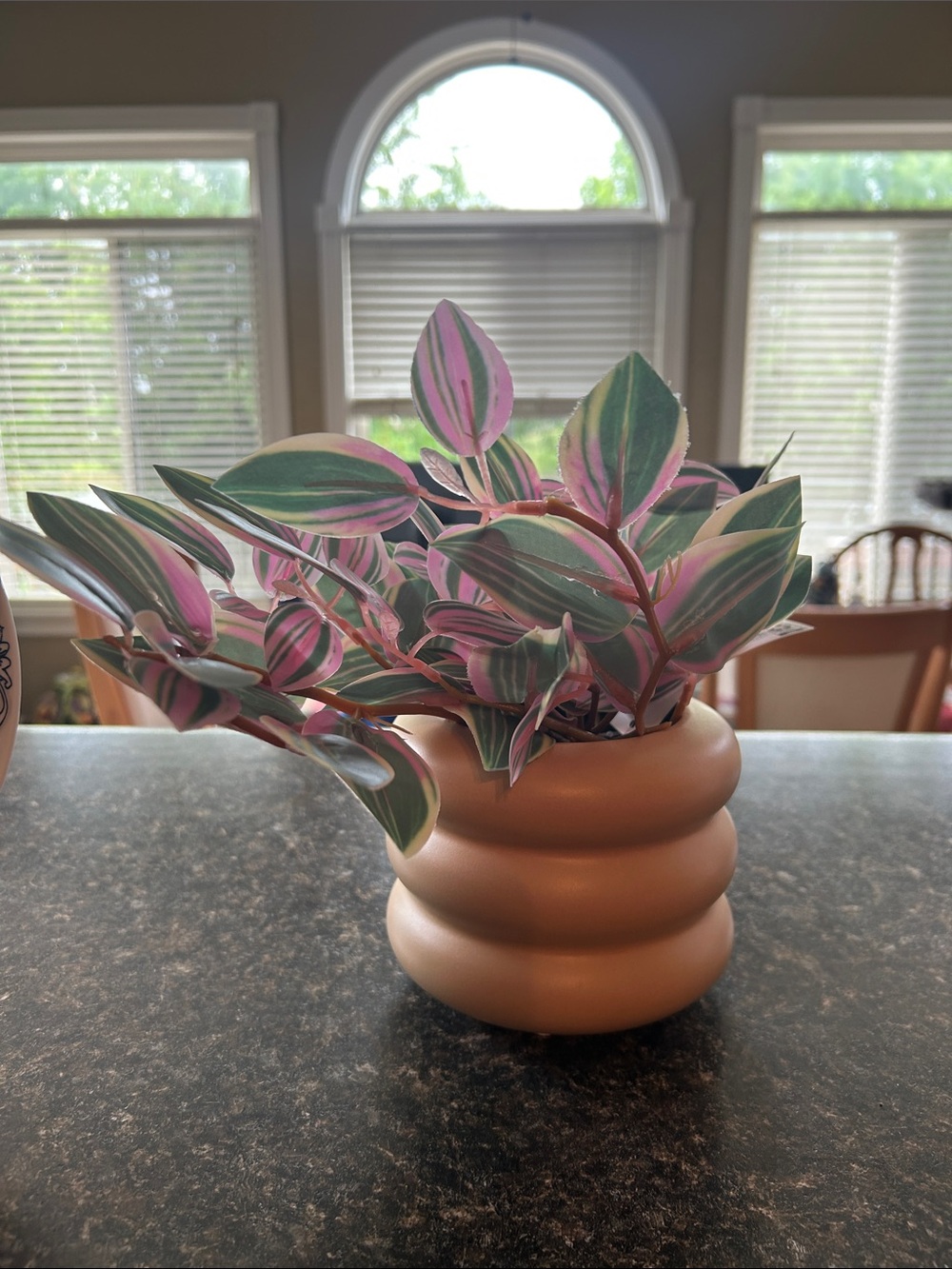 Artificial Variegated Plant in Matte Rose Gold Ceramic Pot